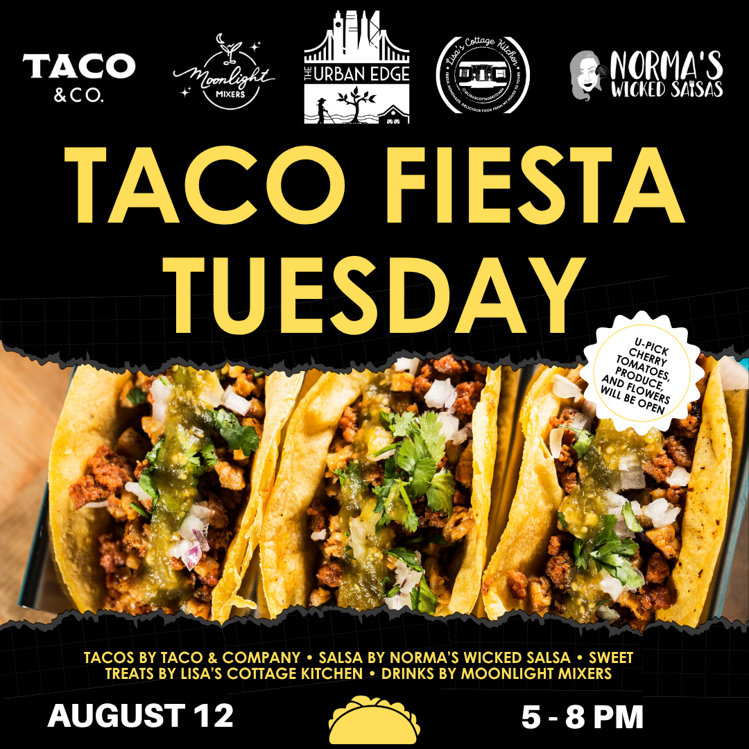 Taco Tuesday August 12 web version