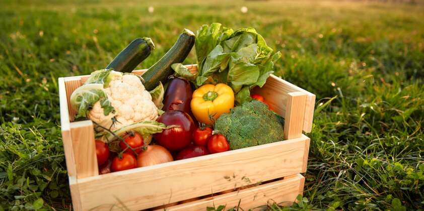 Urban Edge Farm Newsletter — April 2025 Edition