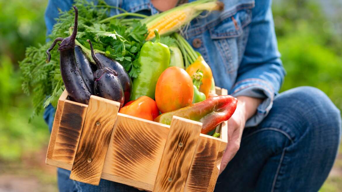 CSA Program – Small Box