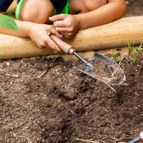 Compost and Gardening Workshop Someone holding a gardening shovel digging in soil